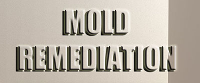 mold-clean-2